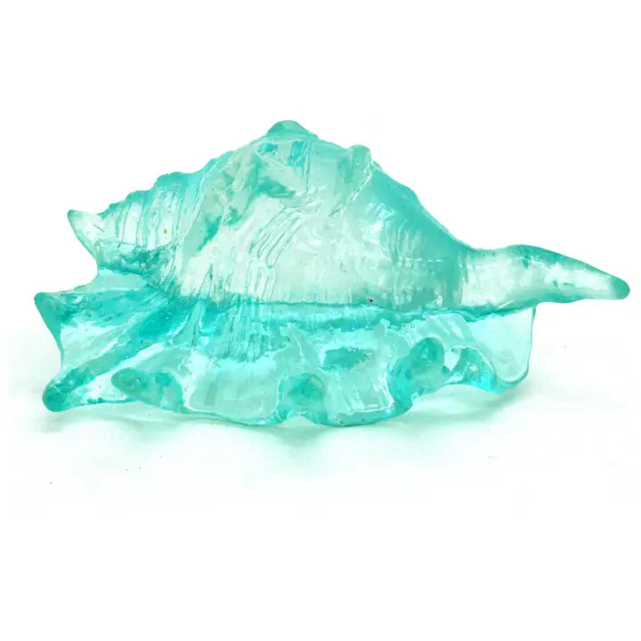 Clear blue Lambis shell