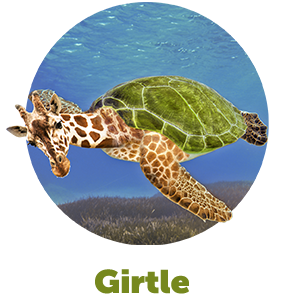Girtle
