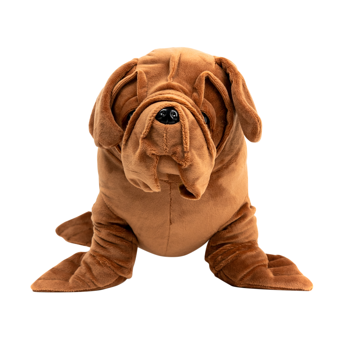 Seadog