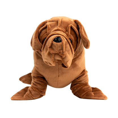 Seadog