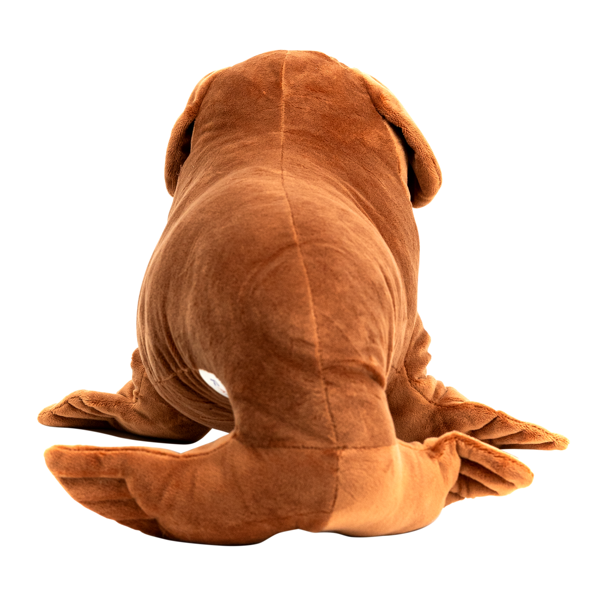 Seadog
