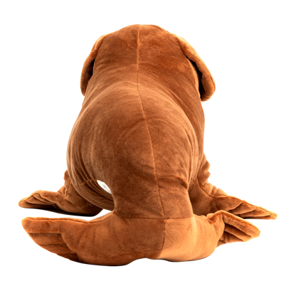 Seadog
