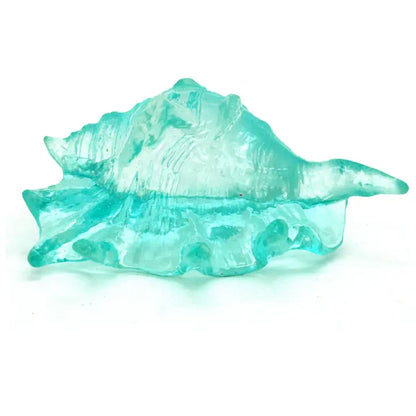 Clear blue Lambis shell
