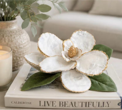 Oyster shell Magnolia