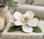 Oyster shell Magnolia