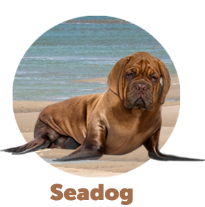 Seadog